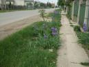 DSCF0096