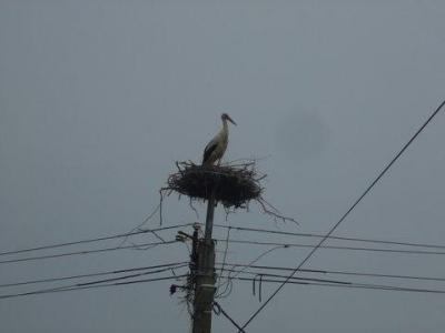 DSCF0115