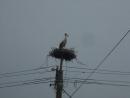 DSCF0115